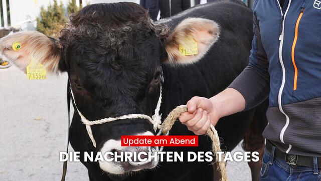 Mit dem Bezirksblätter "Update am Abend" erfährst du, was heute in Tirol los war. Das sind die wichtigsten Nachrichten aus Tirol. | Foto: BezirksBlätter Tirol/MG Telfs/Hackl