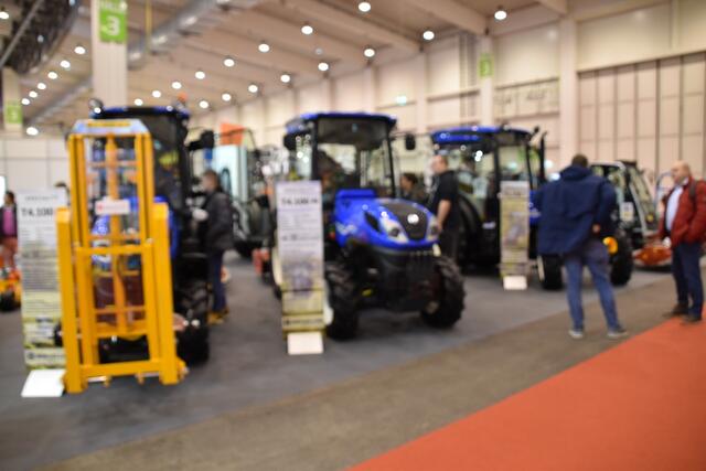 Foto: Joachim Pricken