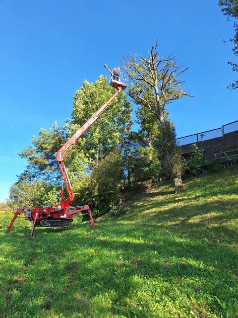 Solche geländegängigen Hebebühnen braucht man für den Hochstammschnitt. | Foto: Verein Streuobsterhaltung Mostviertel