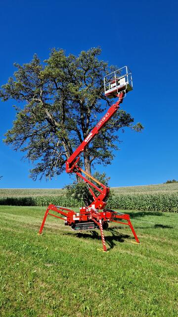 Solche geländegängigen Hebebühnen braucht man für den Hochstammschnitt. | Foto: Johann Refenner