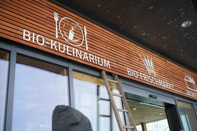 Drei in eins - hier wird jede:r fündig! | Foto: medien:hak