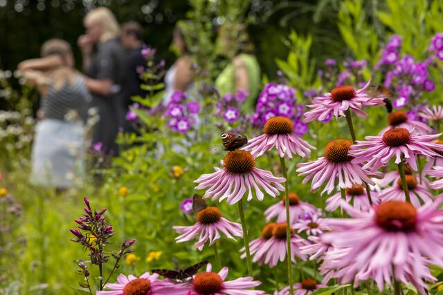 Der Bio-Heilkräutergarten befindet sich in Klaffer. | Foto: Bio-Heilkräutergarten