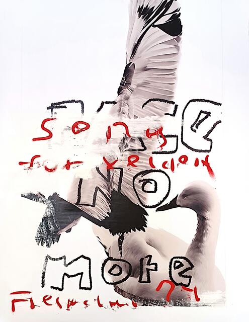 Foto: Gerhard Fresacher