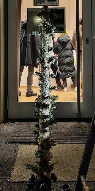 Vernissage als Richtfest mit Tannenbaum  | Foto: Marcel Ambrusch