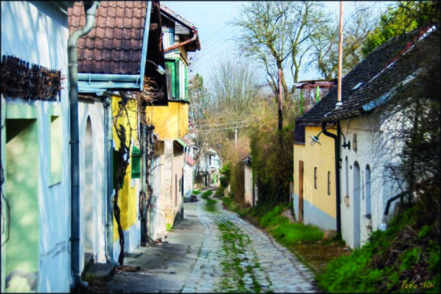 Folgen Sie der Kellerkatze durch die Kellergasse. | Foto: Heinrich Kaller