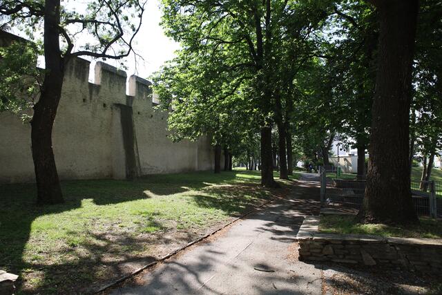 Die Stadtmauer: Ein Stück Mittelalter in Groß-Enzersdorf  | Foto: Leticia Semmler