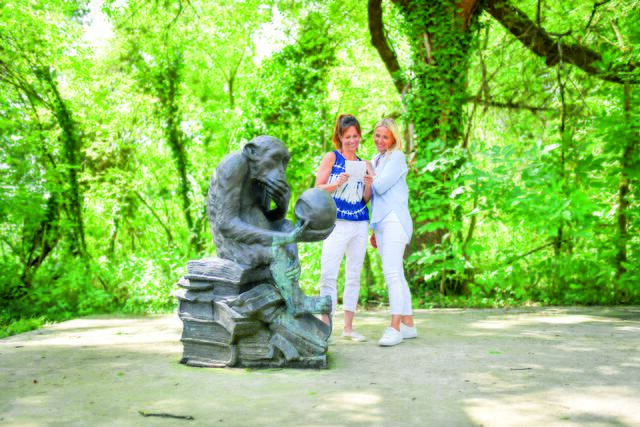 Tulln entdecken und staunen. | Foto: Stadtgemeinde Tulln / Herbst