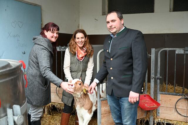Ein junges Kalb mit Alexandra Balber, Carmen Jeitler-Cincelli und Alexander Balber. | Foto: Pohl