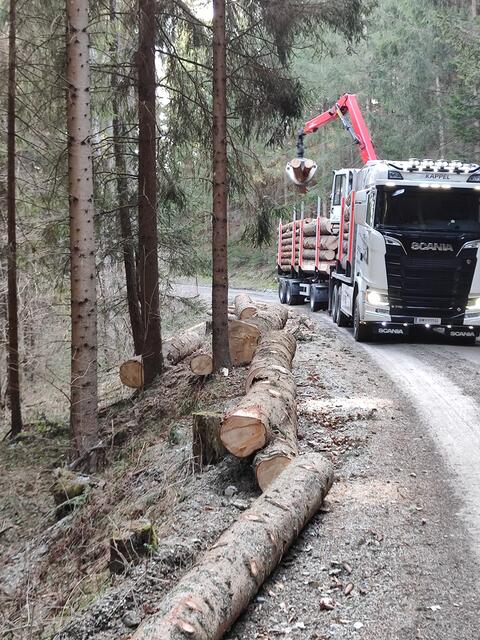 in den Wäldern werden Sturmschäden aufgearbeitet... | Foto: I.Wozonig