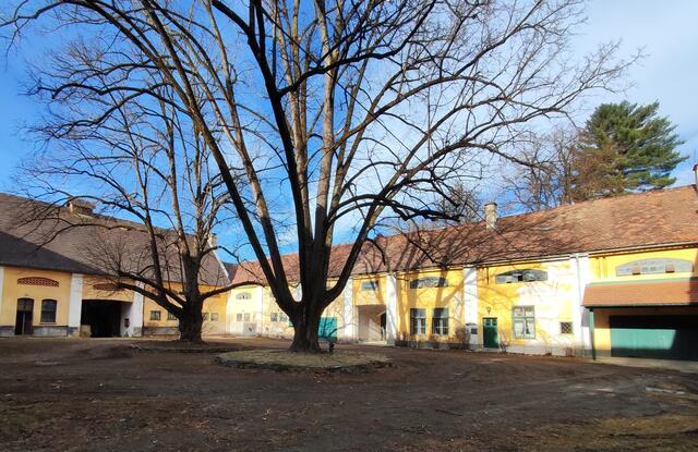 der Baum musste natürlich auch auf's Bild... | Foto: I.Wozonig