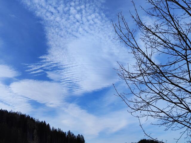 Foto: I.Wozonig