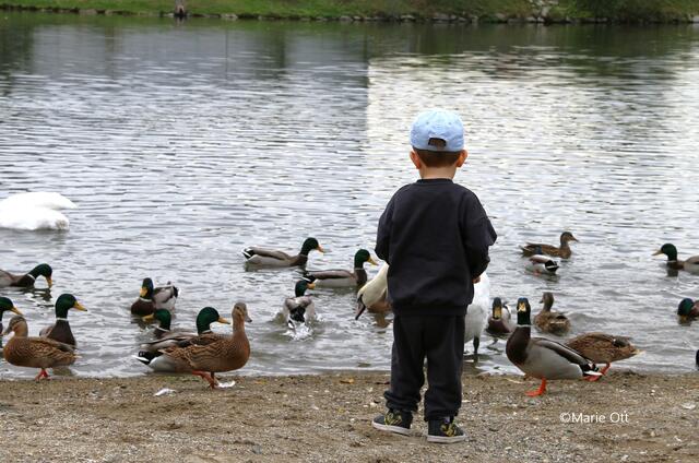 Naherholungsgebiet an der Mur, Graz