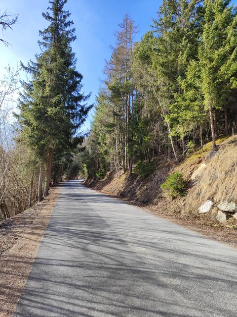 jetzt bleiben wir auf der Asphaltstraße... | Foto: I.Wozonig