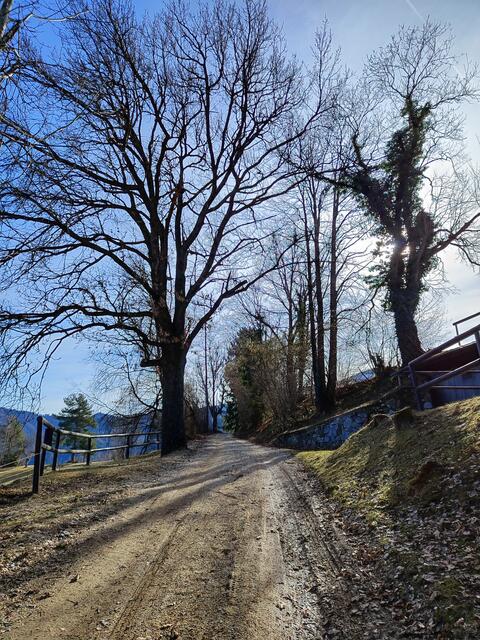 Foto: I.Wozonig