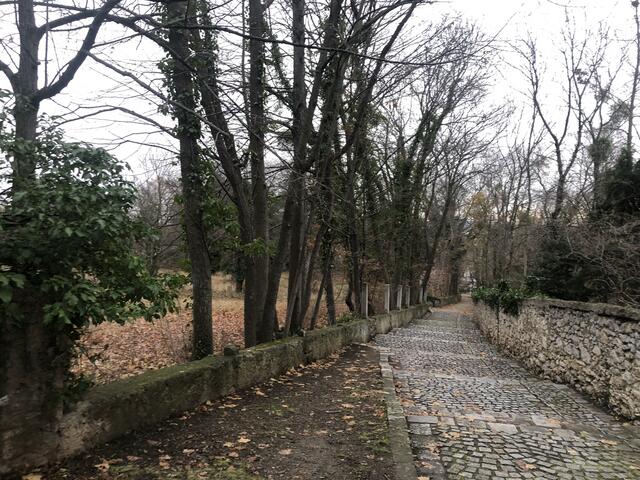 Der Weg zwischen Schlosspark Gainfarn rechts und künftigem Parkplatz links