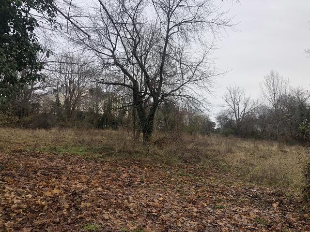 Künftiger Parkplatz. Im Hintergrund die bestehenden Villen.  | Foto: privat