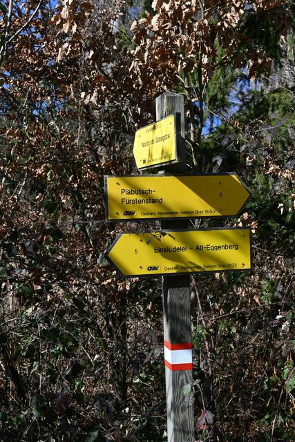 Hinunter nach Eggenberg, aber über Forstwege