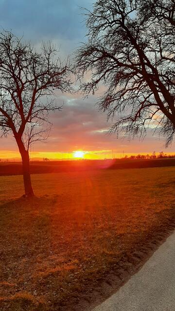Pfarrer Peter Bösendorfer: "Dieses Foto entstand bei einem Spaziergang vor einigen Jahren. Fastenzeit bedeutet für mich: dem Licht entgegen gehen." | Foto: Peter Bösendorfer