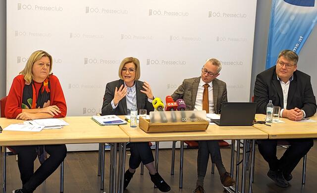 V. l.: Dagmar Andree (AK OÖ), AMS-Landesgeschäftsführerin Iris Schmidt, Stellvertreter Markus Litzlbauer und Thomas Mayr-Stockinger (WKOÖ) | Foto: BRS