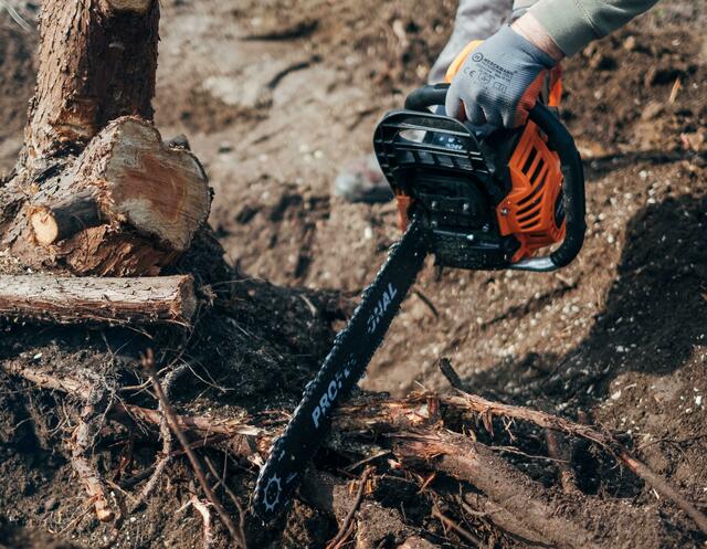 Mit alten Geschlechterrollen in der Forst- und Holzwirtschaft soll auf der Boku aufgeräumt werden. | Foto: unsplash