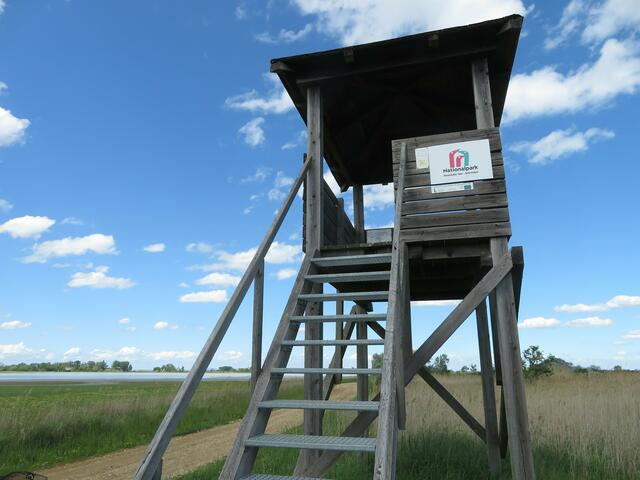 Im Nationalpark Neusiedler See - Seewinkel werden 140 Hektar zusätzlich unter Schutz gestellt. | Foto: Helmut Gring
