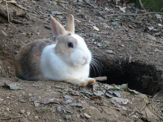 Hallo, ich bin das Mädi, und im Hintergrung seht ihr den Eingang in meine Wohnung.