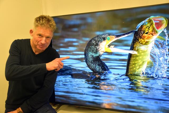 Fotograf Günther Iby: Ausstellung in der "Kunsthalle" am Greiner Stadtplatz.  | Foto: Robert Zinterhof