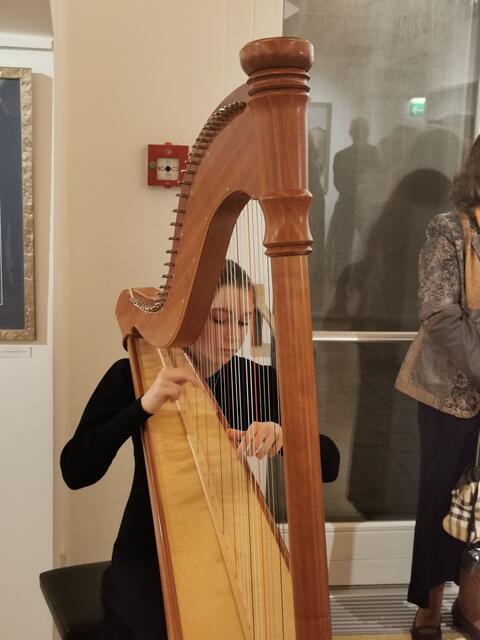 Großartige Darbietungen der 11-jährigen Emilia Kreiner, die an der Musikschule Gleisdorf Harfenunterricht bekommt. | Foto: Hermine Arnold