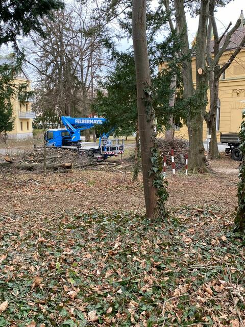 Der Invalidenhauspark soll grüner werden, wünscht sich eine Anwohnerin. | Foto: privat