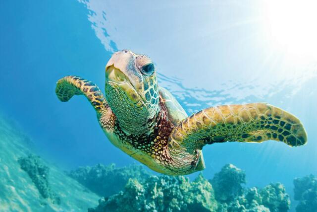 Foto: pixxio/Salzburg-Airport