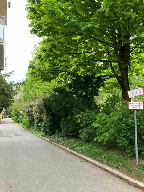 Viele Sträucher: So sah es früher einmal im Park aus.  | Foto: privat