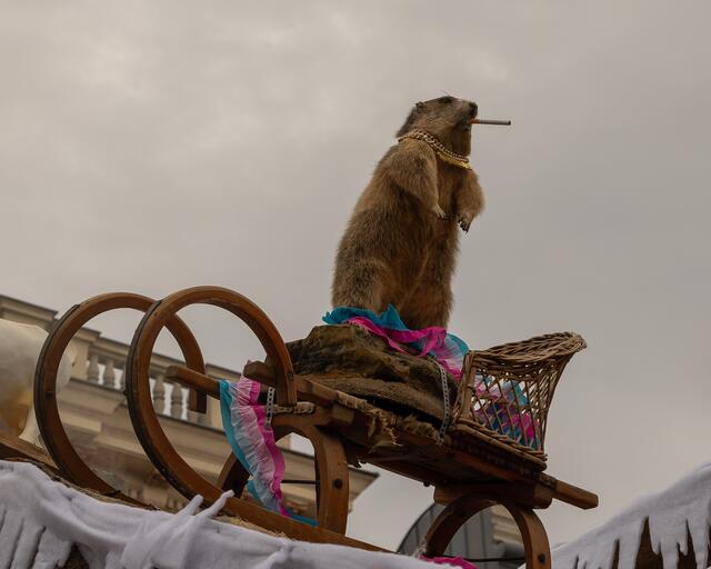 Foto: Christian Nowotny