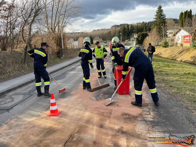 Zwölf Mann der FF Maria Lankowitz führten Ölbindearbeiten durch. | Foto: FF Maria Lankowitz