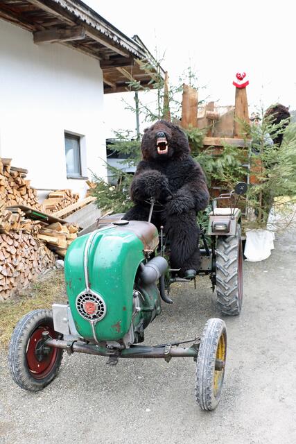 Da hat sich wohl ein Bär selbständig gemacht