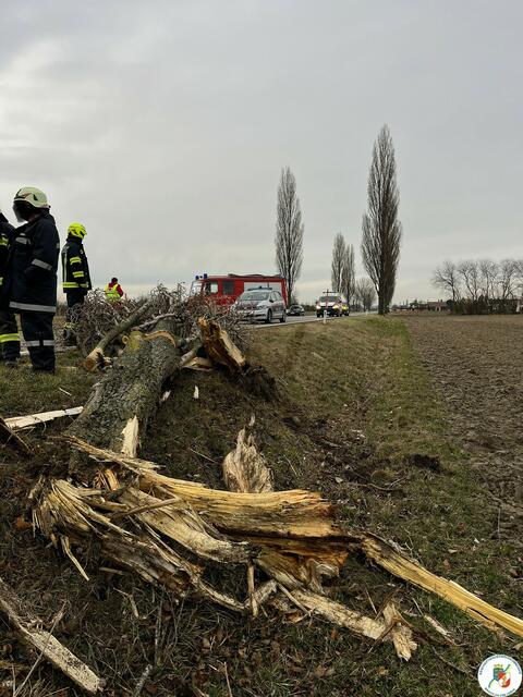 Foto: AFKDO Bruck/Leitha