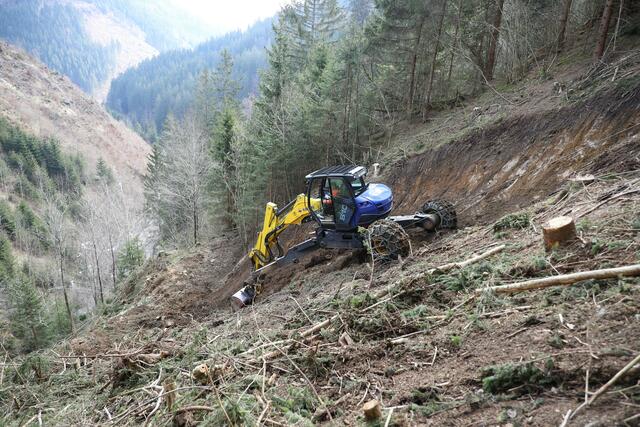 Tapfer kämpft sich der zwölf Tonnen schwere Schreitbagger durch das steile Gelände. | Foto: Land Steiermark