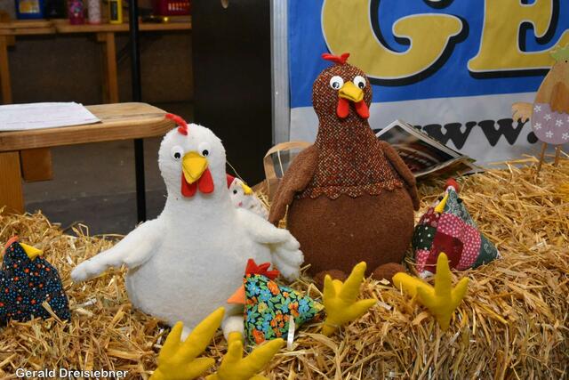 Foto: Gerald Dreisiebner