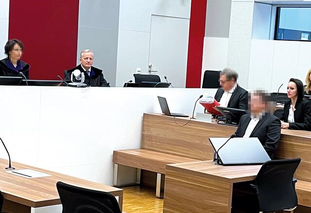 Nach Urteilsaufhebung findet einer neuer Prozess im LG Eisenstadt gegen den Arzt statt. | Foto: Gernot Heigl