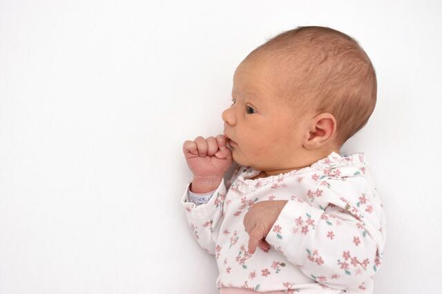 Isabella

Geburt: 25.01.2024
Größe: 53.0 cm
Gewicht: 3840 g
Petra Stepanek und Andreas Lorencic Geschwister Nico, Samuel aus Retznei | Foto: Babysmile