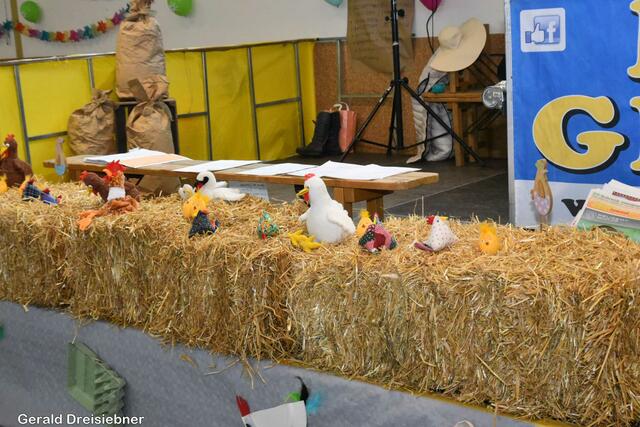 Foto: Gerald Dreisiebner