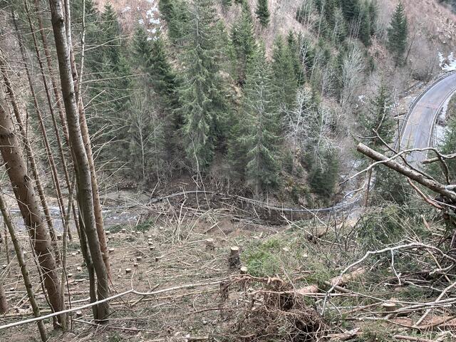 Beeindruckende Perspektive vom Ausgangspunkt der Mure. | Foto: Kern