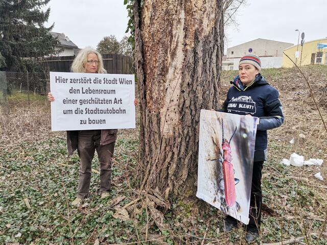 Vor allem Umweltschützer kritisieren das Straßenbauvorhaben der Stadt. Hier eine Protestaktion aus dem vergangenen Jahr in der Donaustadt. | Foto: System Change not Climate Change