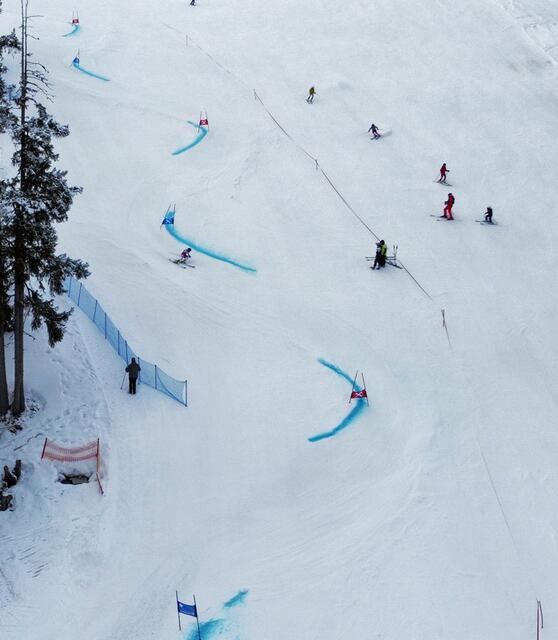 Foto: SVO/Markus Moser