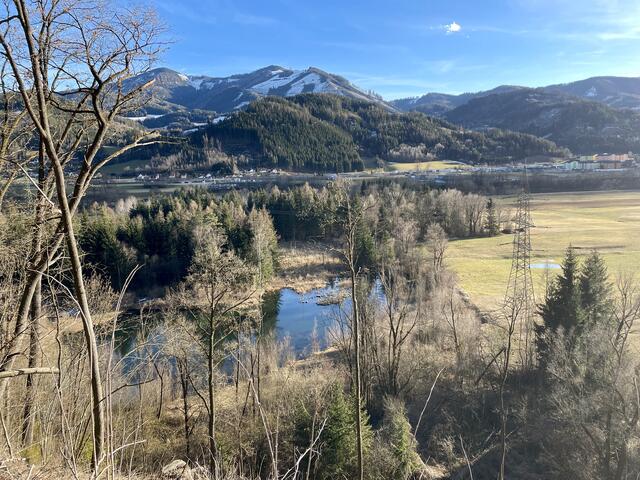 Achtung Baumfällungen: Im Gebiet des Silbersees werden aktuell Schlägerungsarbeiten durchgeführt.  | Foto: RegionalMedien Steiermark