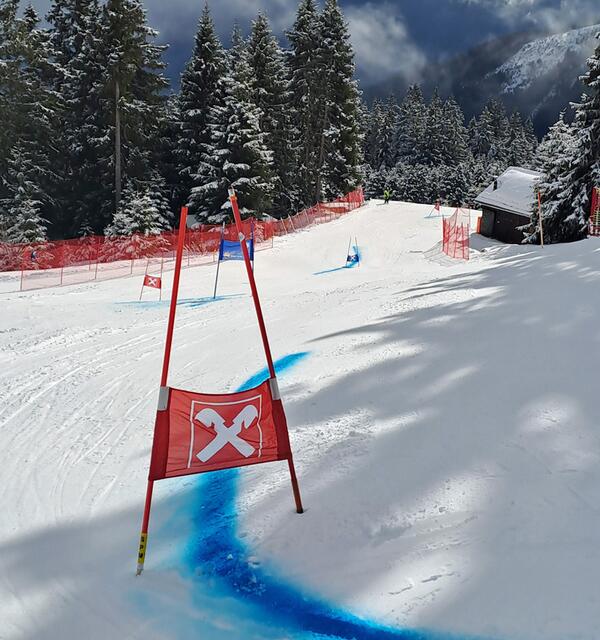 Foto: SVO/Markus Moser