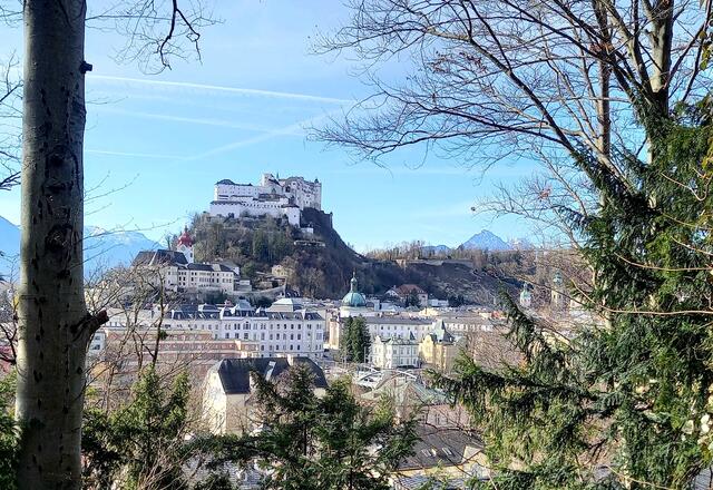 Foto: H.Bachinger 