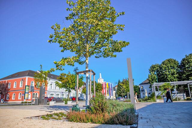 Der Klimafite Hauptplatz in Ober- Grafendorf. | Foto: GM Ober- Grafendorf