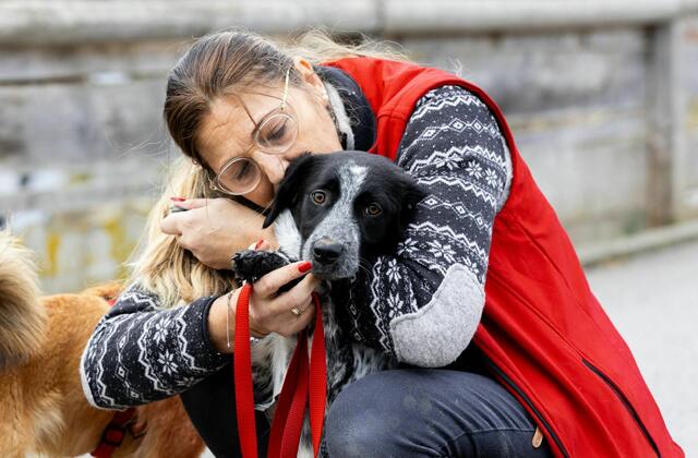 Gut Aiderbichl hat 2023 über 1.900 Tiere gerettet. | Foto: Gut Aiderbichl