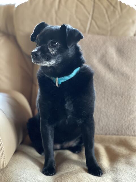 Die kleine Coco blüht in ihrem neuen Zuhause auf. | Foto: Schreiner