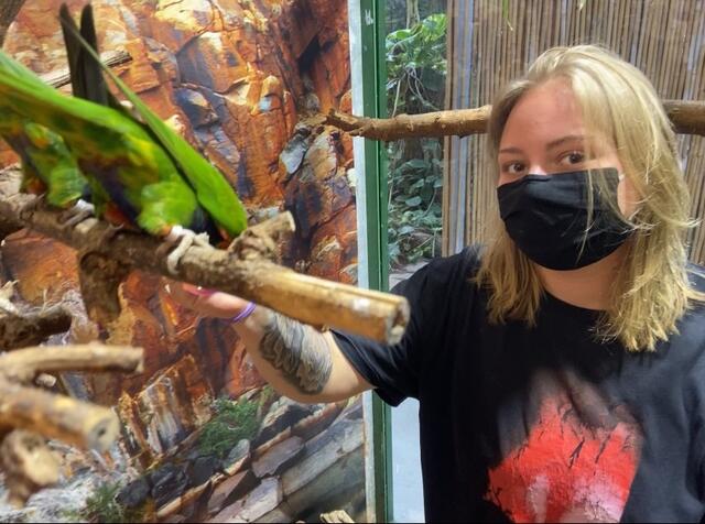 Clara Nührig half im Casa Delle Farfalle - einem Schmetterlingshaus mit. | Foto: Clara Nührig